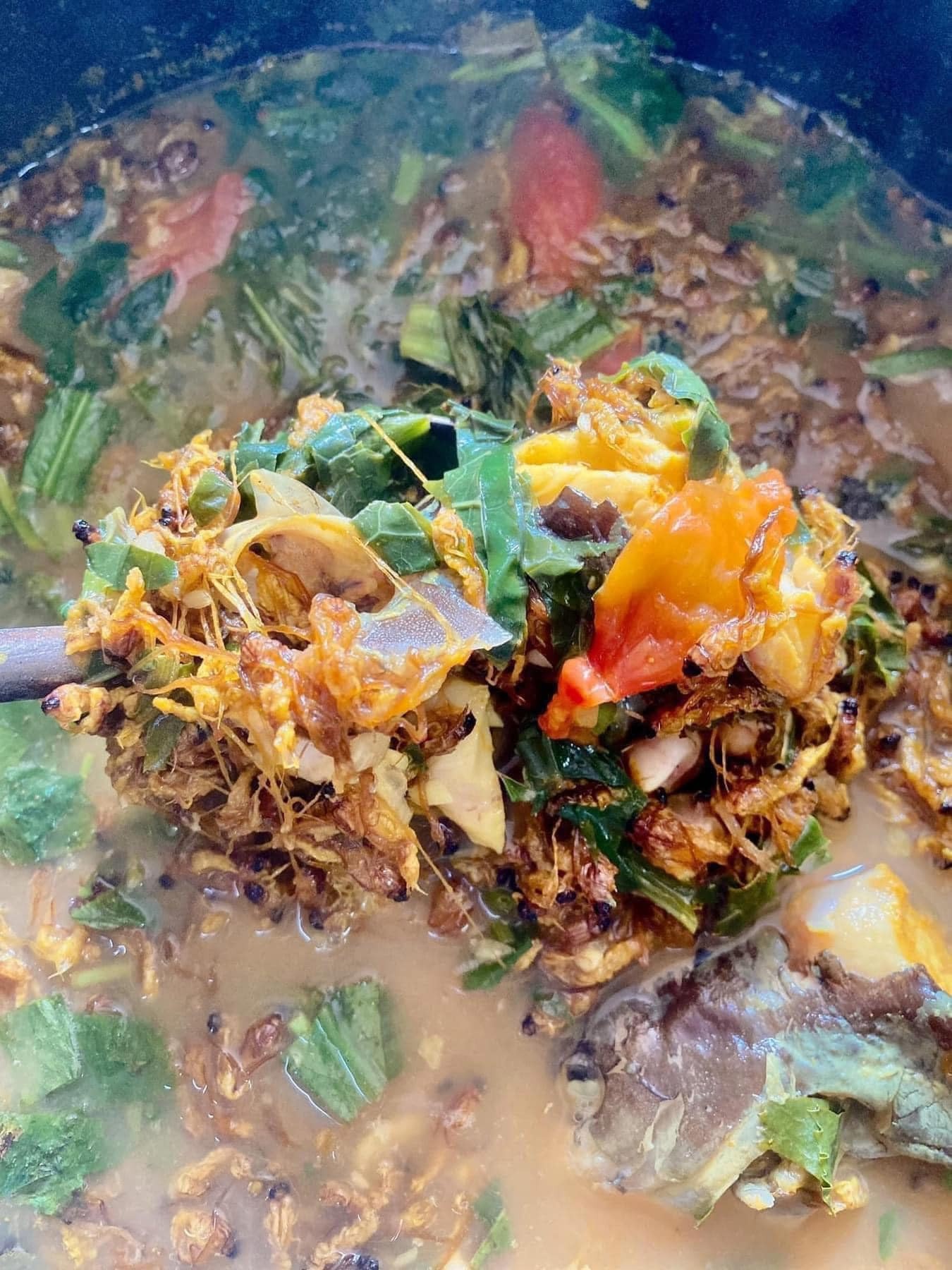 Con vờ Hà Nội ảnh 4 Con vo Ha Noi anh 4