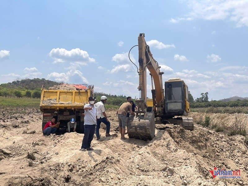 Tai xe tu vong anh 1