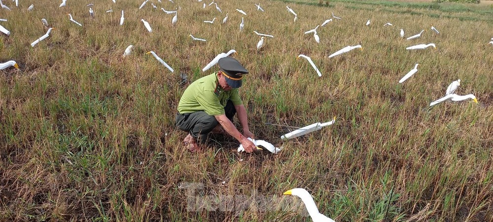 hoi thi chao mao Hue anh 2