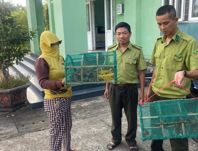 hoi thi chao mao Hue anh 3