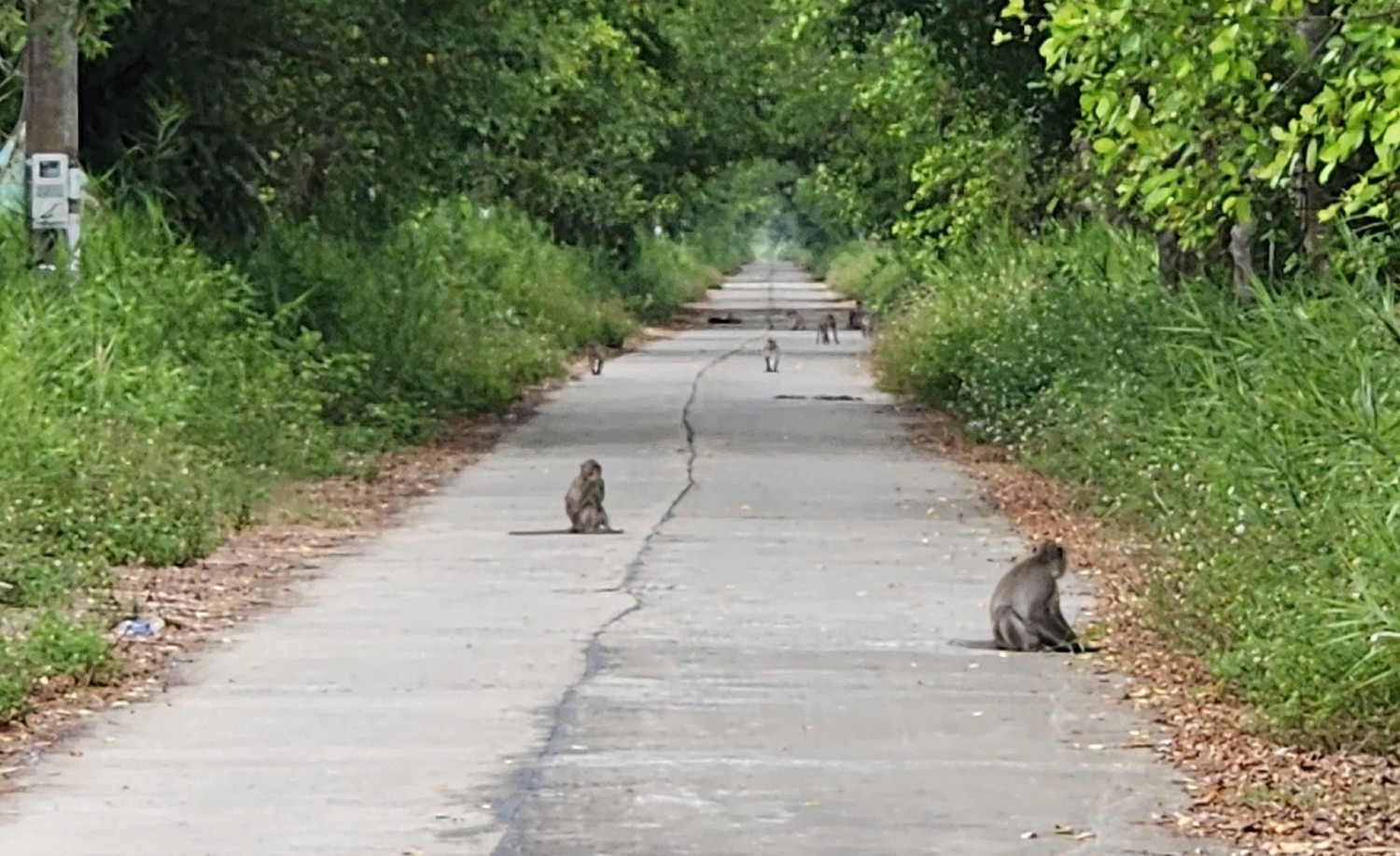 U Minh Thuong 11 ty anh 2