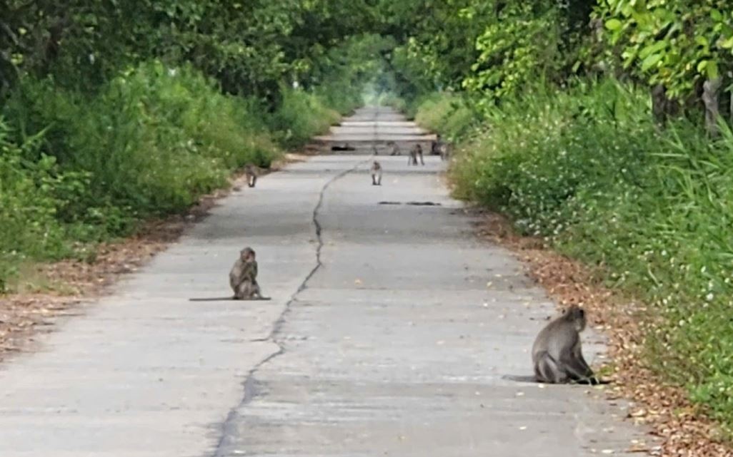 Nang cap tuyen duong tri gia 13 ty nhung gay thiet hai gan 11 ty dong hinh anh