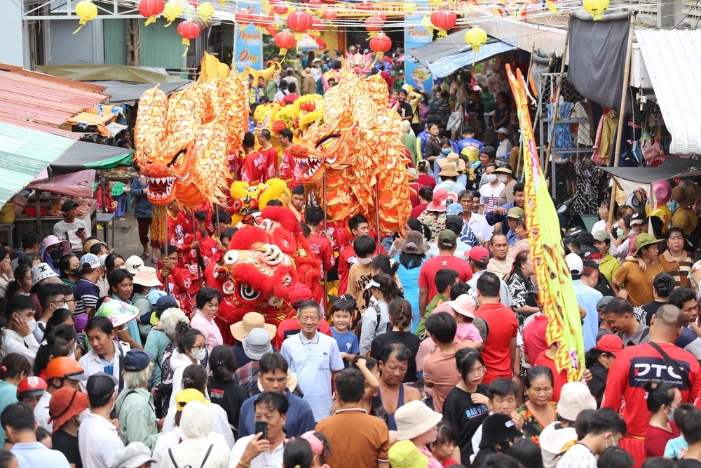 xa dao Thanh An TP.HCM anh 1