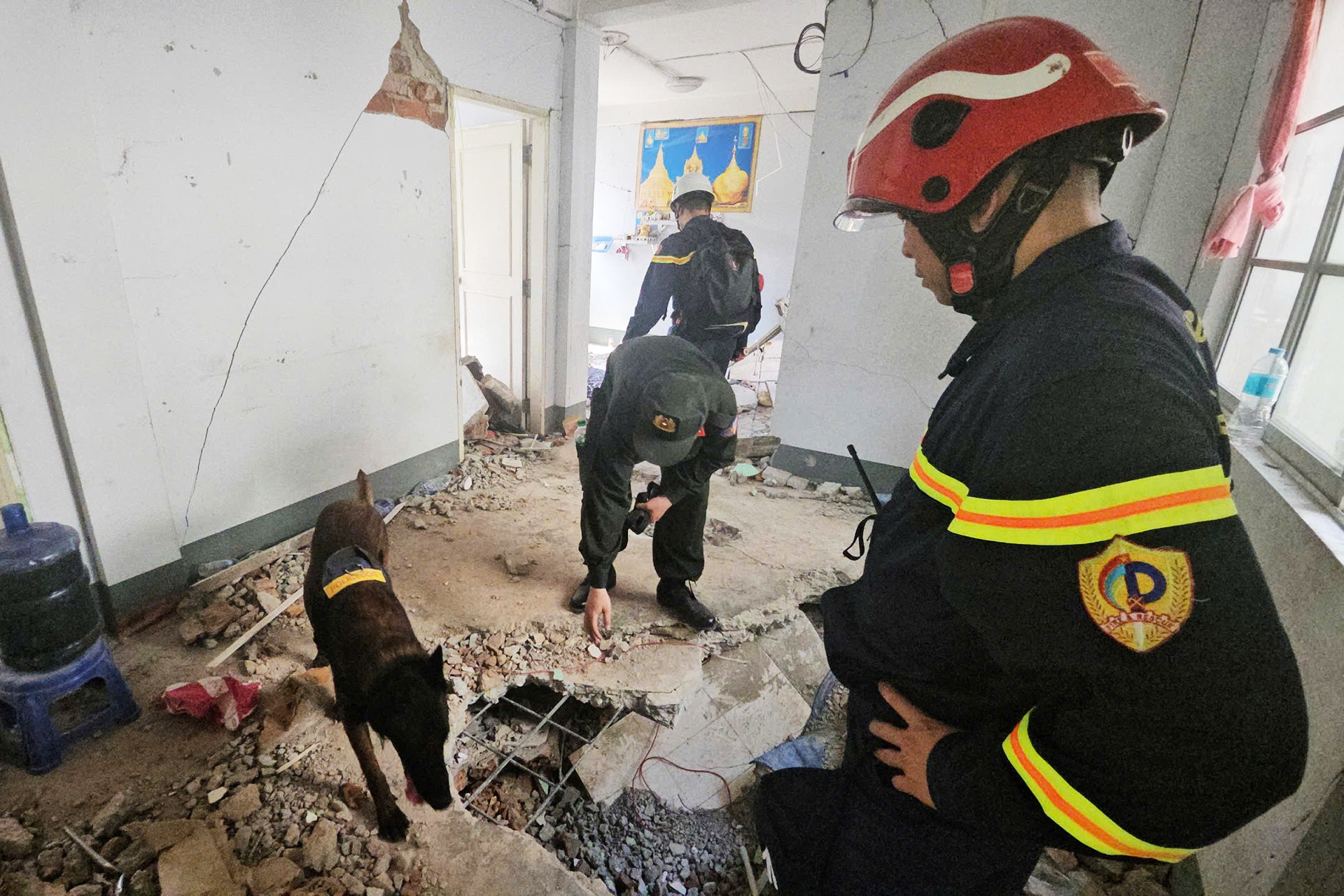 Dong dat Myanmar Viet Nam anh 5