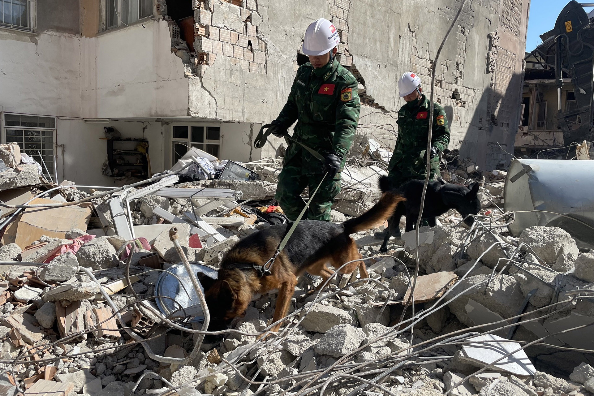 Quan doi VN cu gan 80 chien si cung cho nghiep vu cuu tro tai Myanmar hinh anh