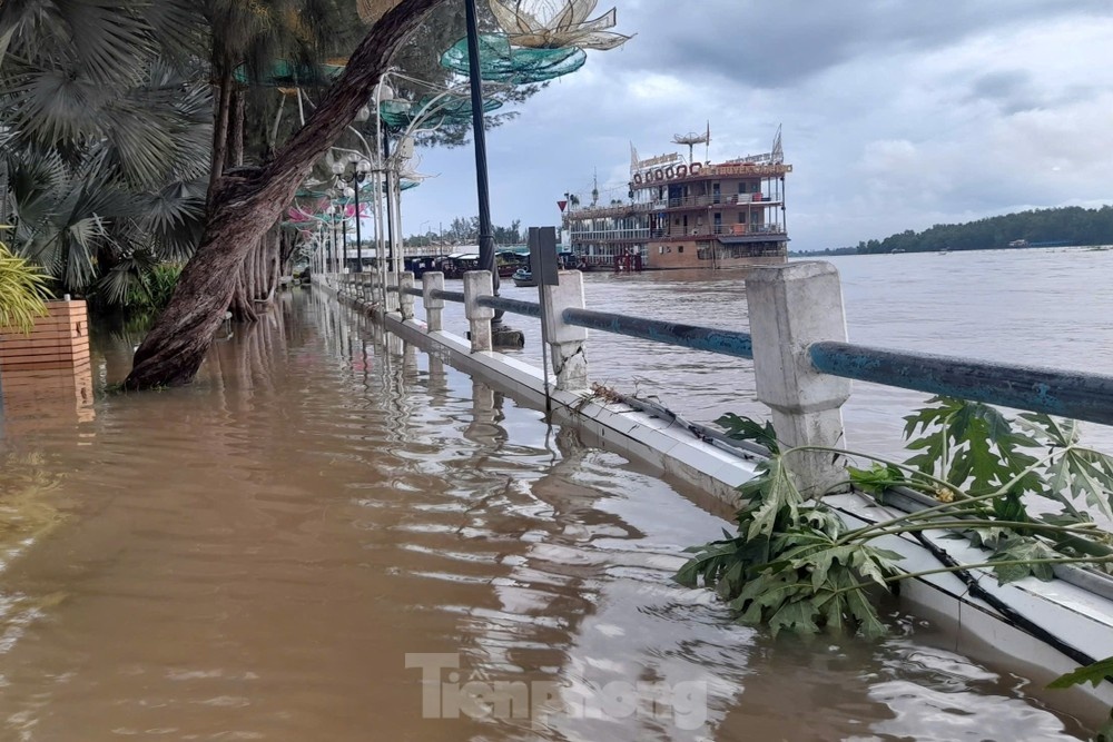 Mua mua mien Tay anh 1