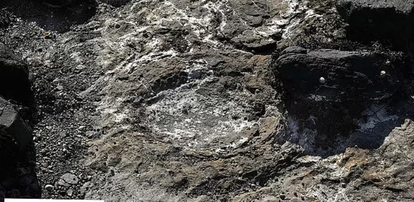 khung long bao chua anh 1