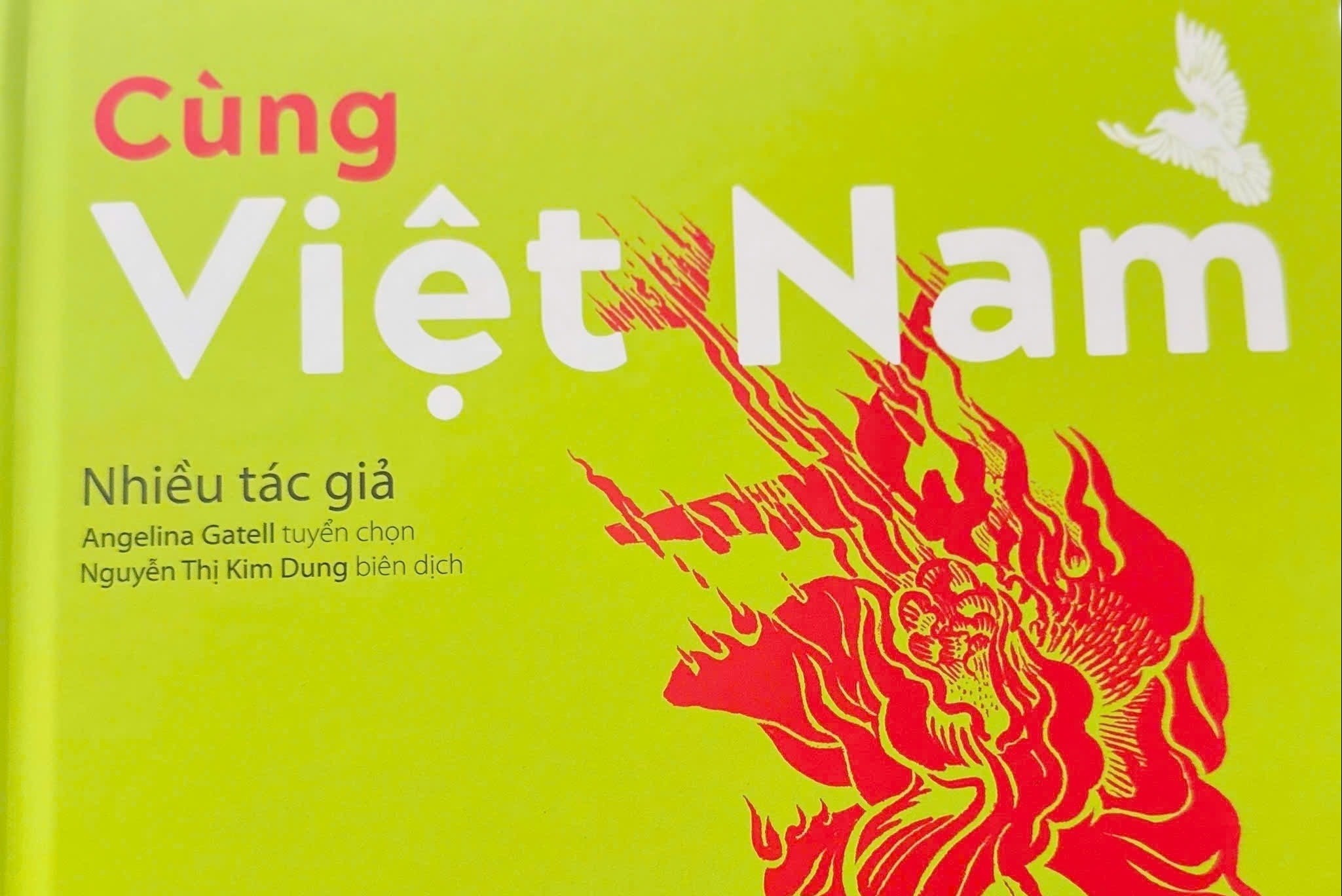 Khi thi ca Tay Ban Nha len tieng vi hoa binh cho Viet Nam hinh anh