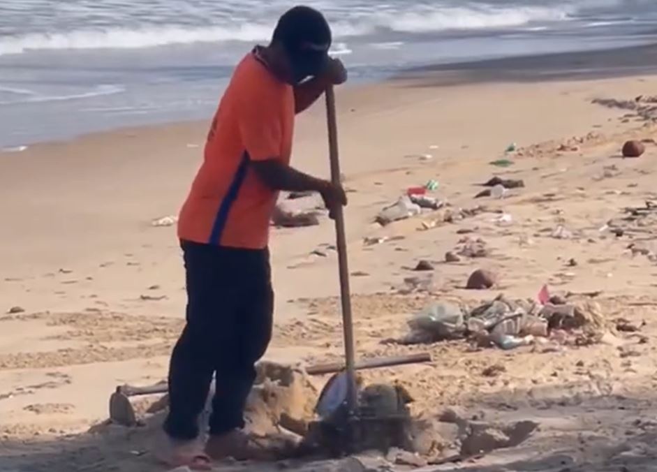 Du khach ngo ngang khi nhan vien chon rac tren bai bien Mui Ne hinh anh