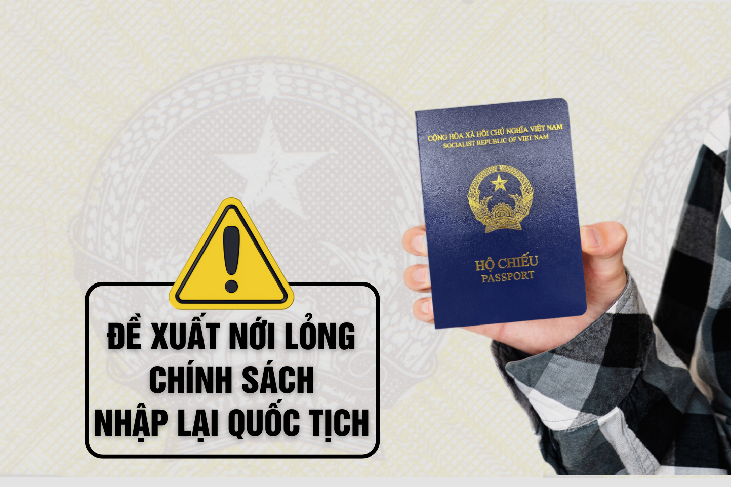 De xuat 'noi long' chinh sach cho nhap, tro lai quoc tich Viet Nam hinh anh