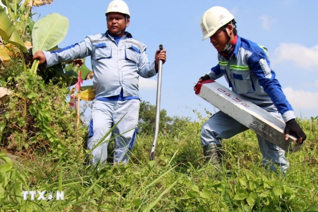 TP.HCM thu hoi 2.100 ho anh 1