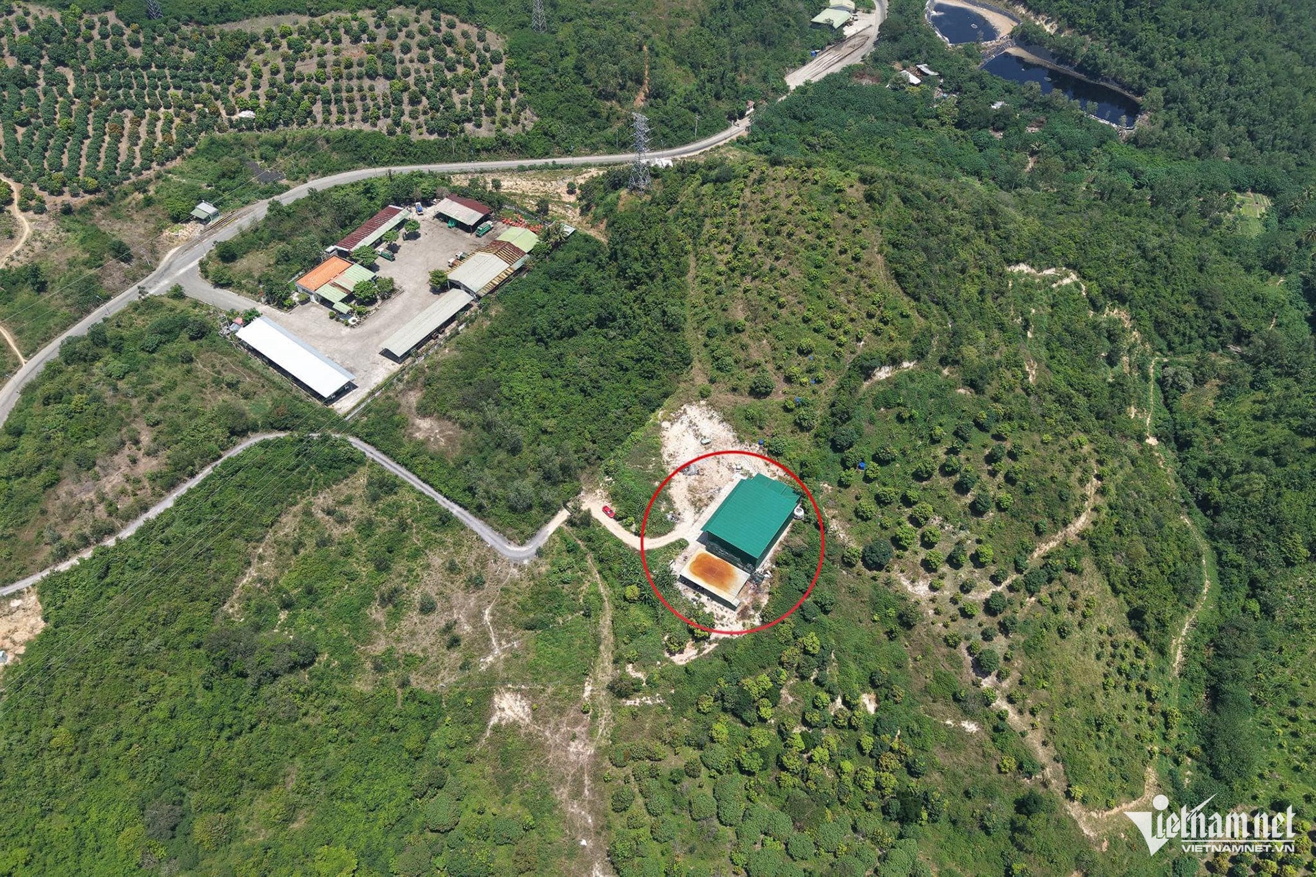 ma tuy ketamin Nha Trang anh 2