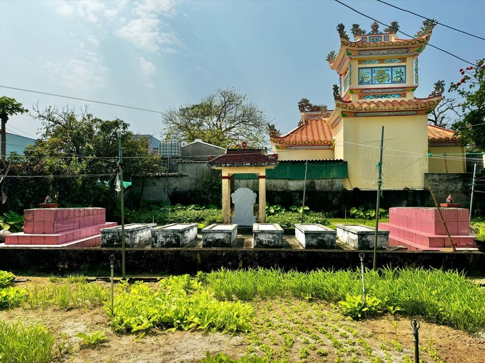 Gap 'phap su' cuoi cung nan hinh nhan the mang tren dao Ly Son hinh anh