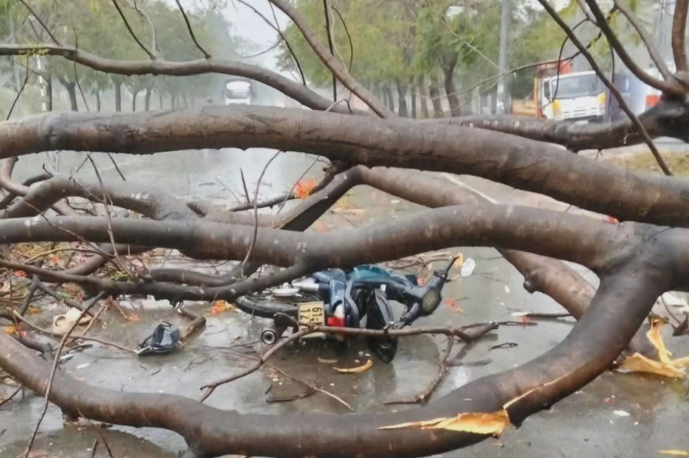 Mua kem dong loc tai Binh Duong chieu va toi qua hinh anh