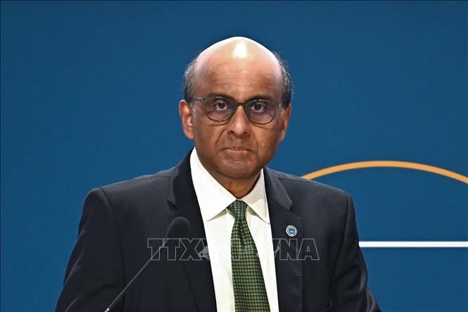 Singapore an dinh ngay tong tuyen cu hinh anh