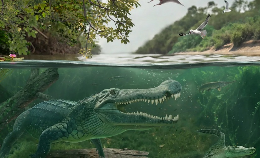 Giai ma loai ca sau khong lo an thit khung long hinh anh