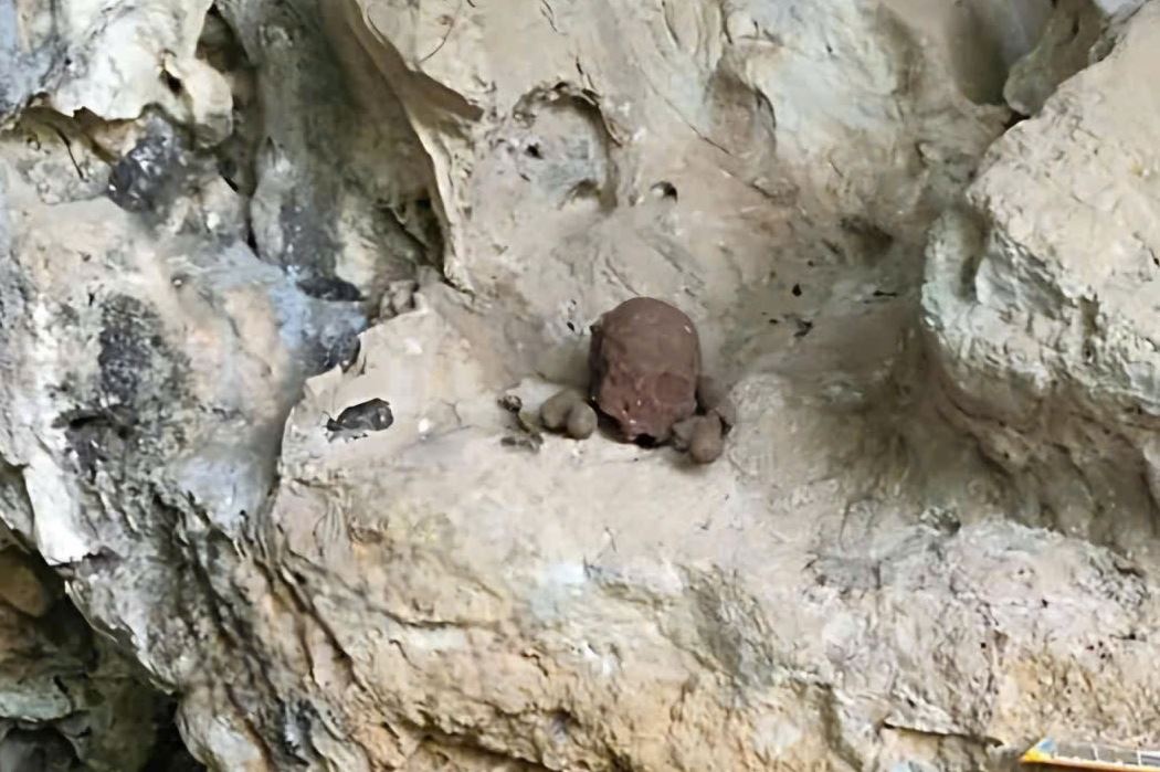 Phat hien nhieu bo xuong nghi cua nguoi trong hang da o Nghe An hinh anh