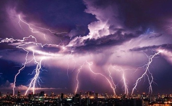 Thuc hu 23.000 cu set danh xuong mien Bac sang nay hinh anh