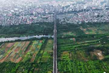 Dieu dac biet o phuong rong nhat Ha Noi sau sap xep hinh anh