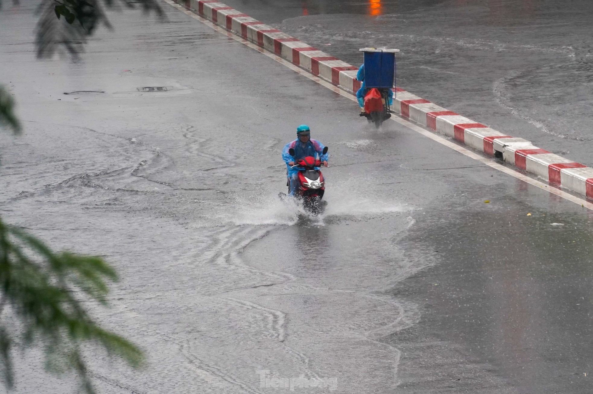 XH ảnh 15 XH anh 15