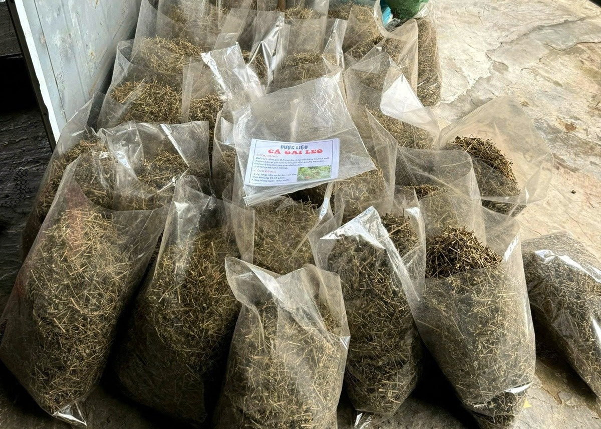 Thuoc gia anh 2