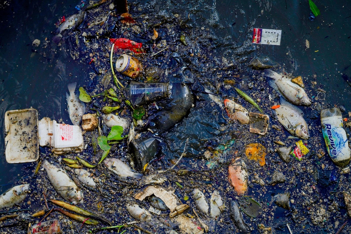 Ca chet kenh TP.HCM anh 3