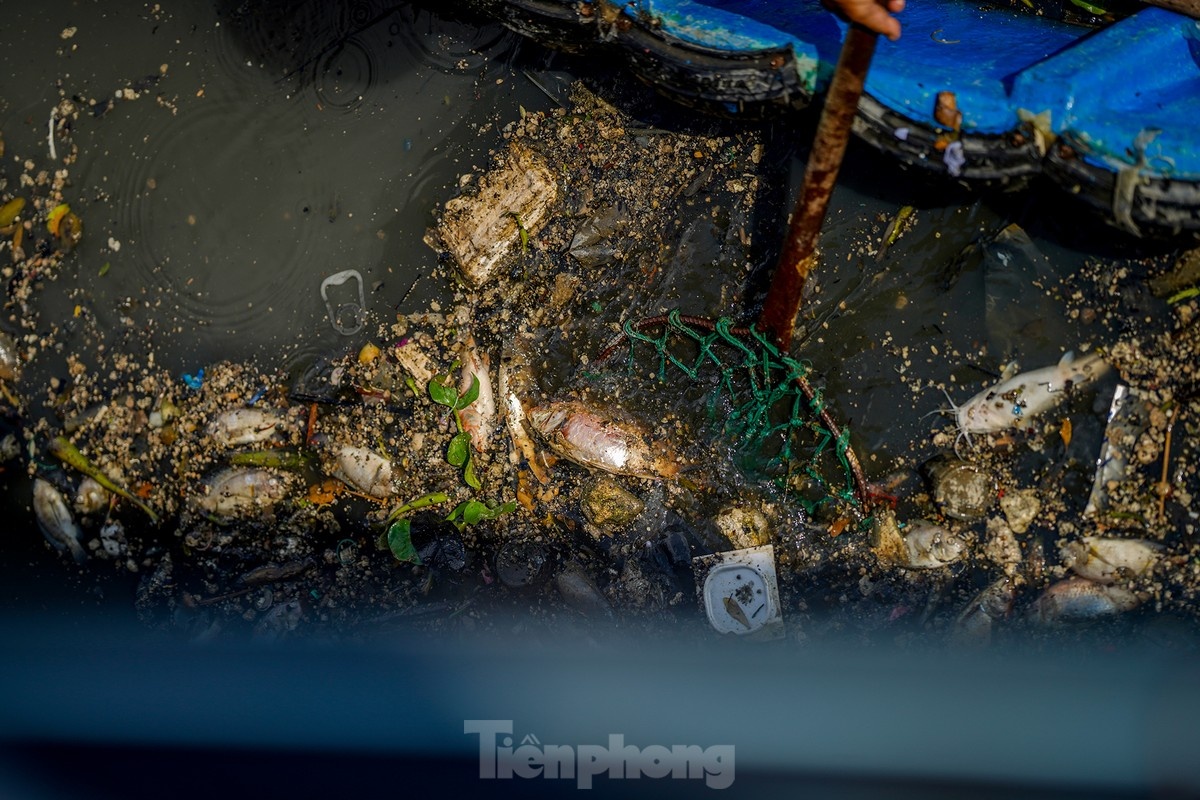 Ca chet kenh TP.HCM anh 4