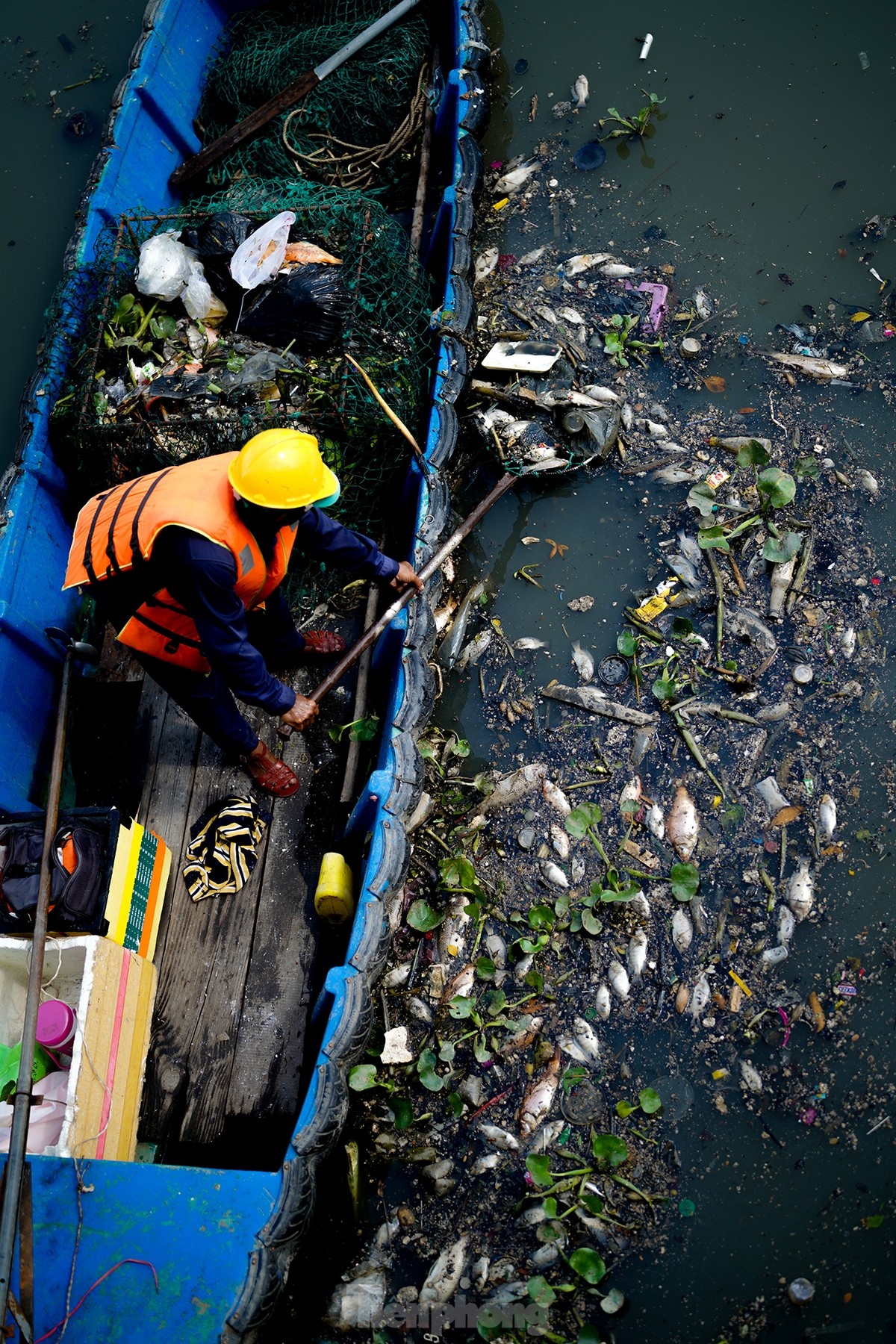 Ca chet kenh TP.HCM anh 5