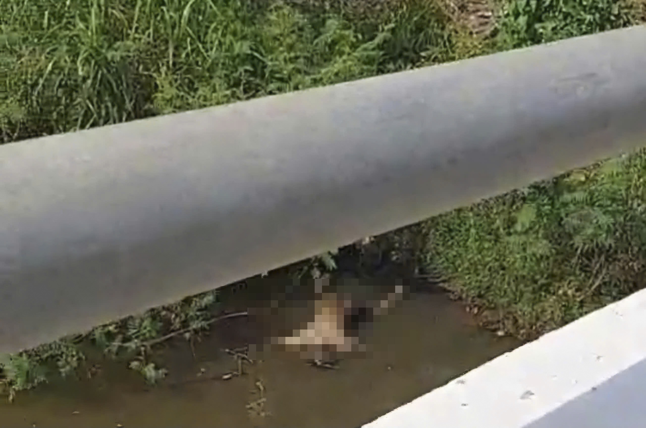 Phat hien thi the nam gioi dang phan huy noi tren mat nuoc hinh anh