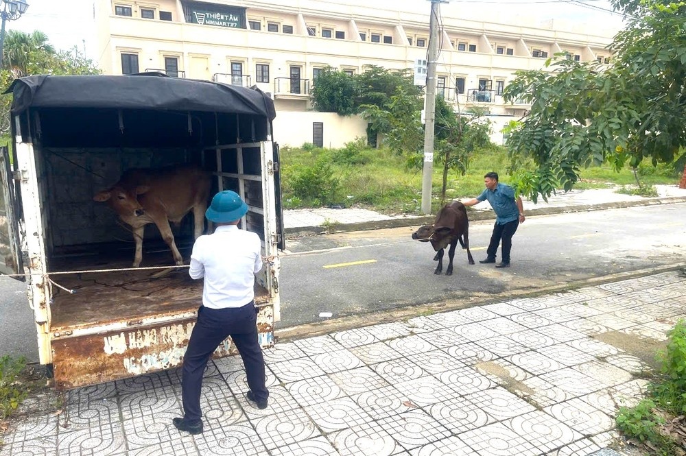 Bo huc chau be anh 1