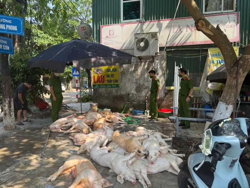 Thit lon Vinh Phuc anh 1