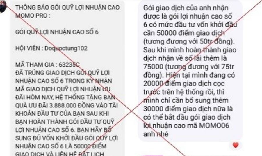 Dau tu quy MoMo Pro gia mao, nguoi dan ong mat hon 300 trieu dong hinh anh