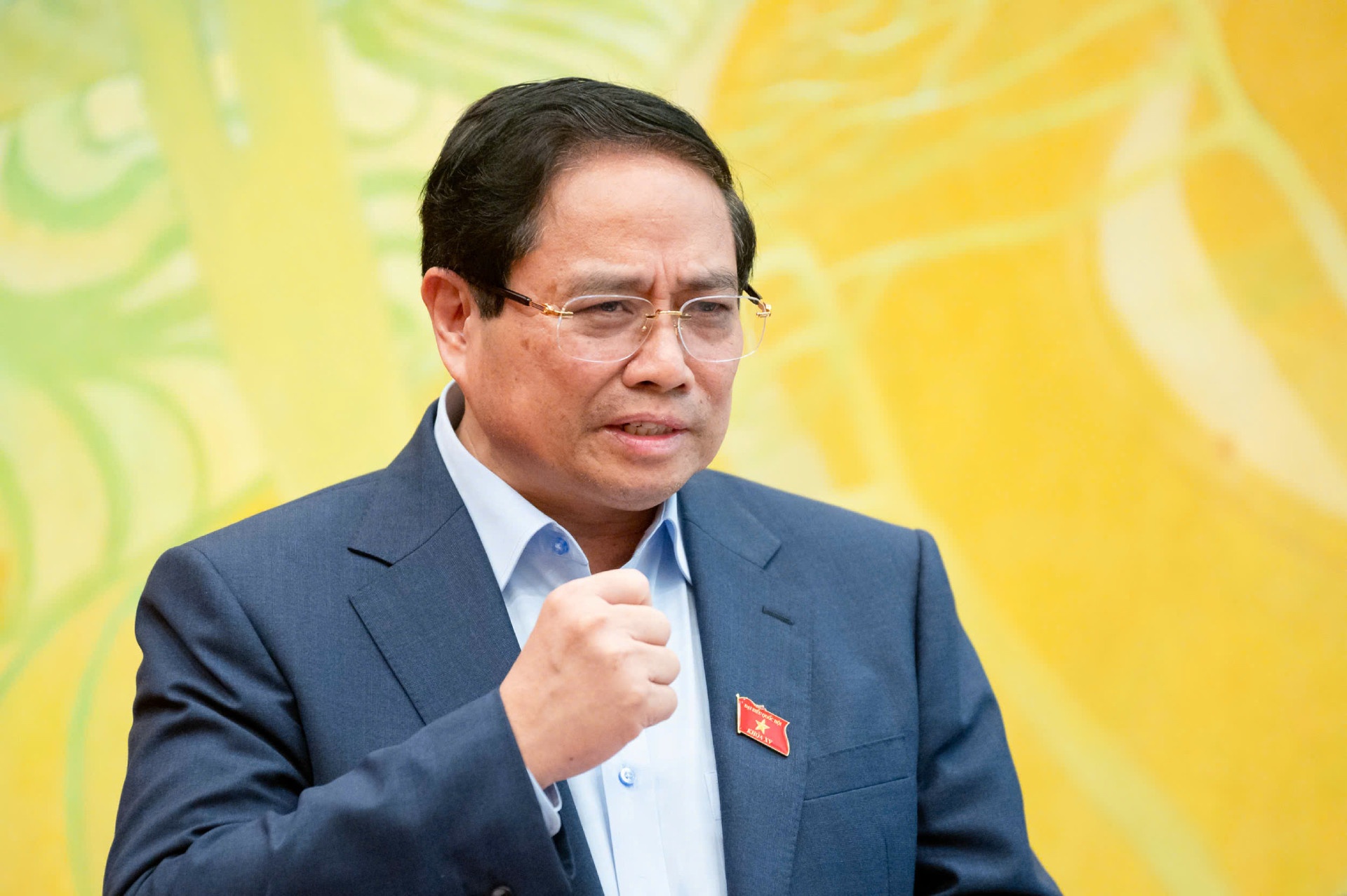 Thu tuong Pham Minh Chinh anh 1