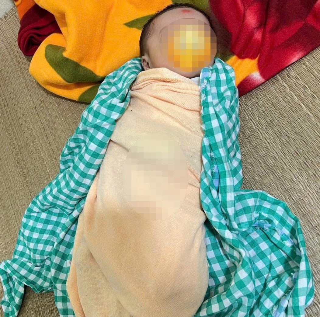 Bo roi so sinh anh 1