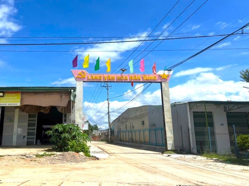 Dan ong tu vong anh 1