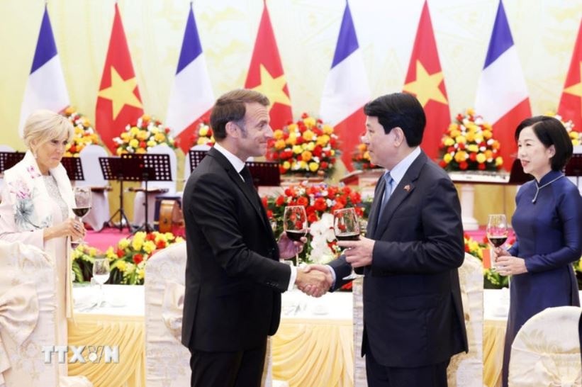 Luong Cuong Emmanuel Macron anh 2