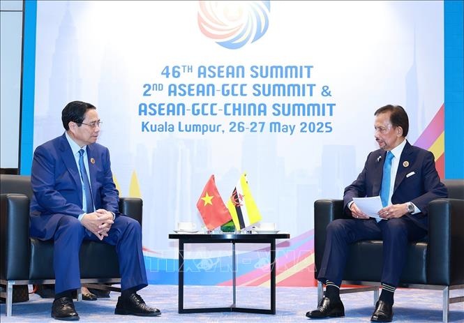 Thu tuong Pham Minh Chinh anh 1