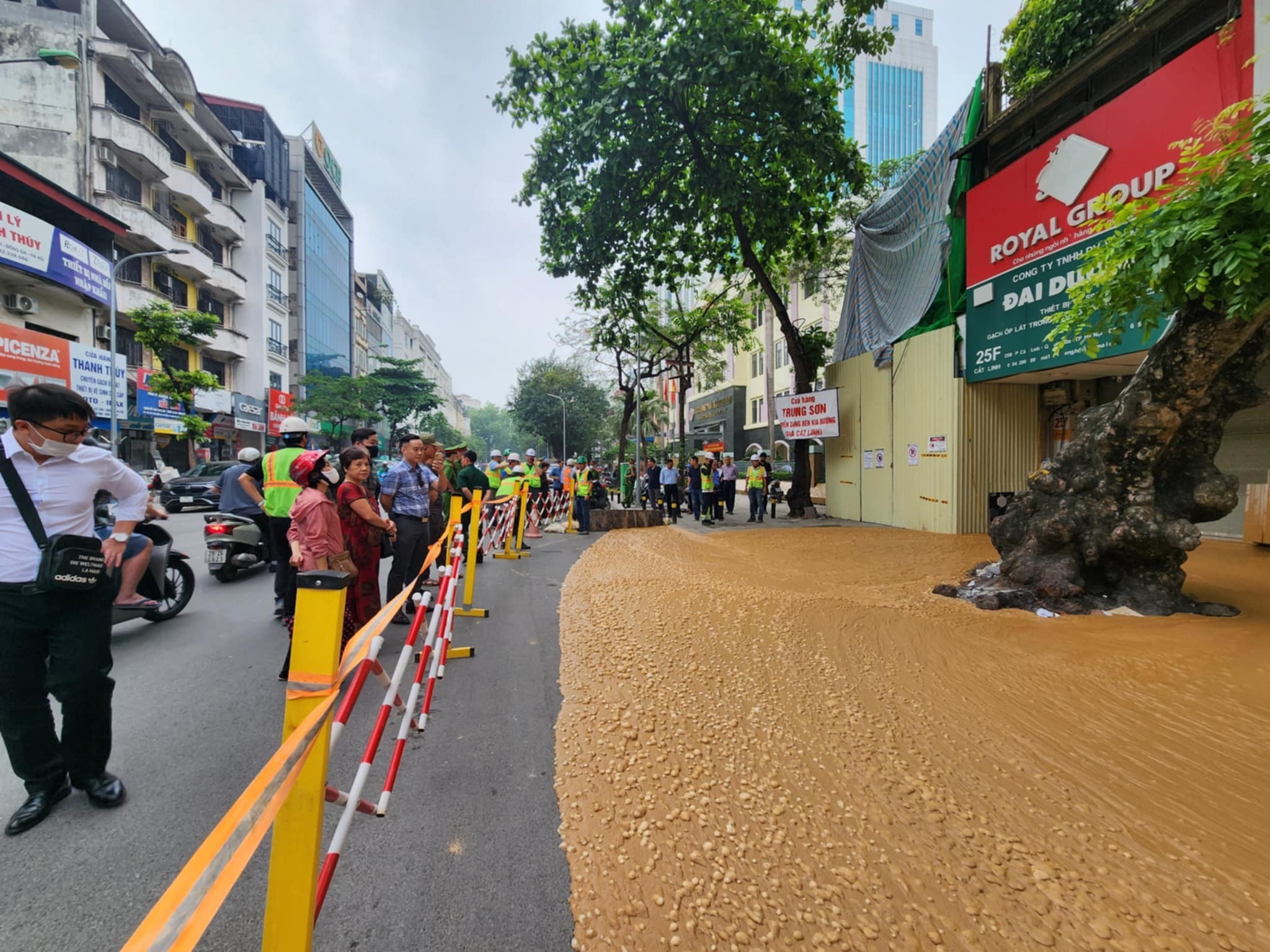 bùn thải Cát Linh ảnh 1 bun thai Cat Linh anh 1