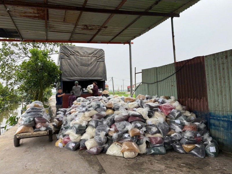 Hoa hau Thuy Tien anh 3