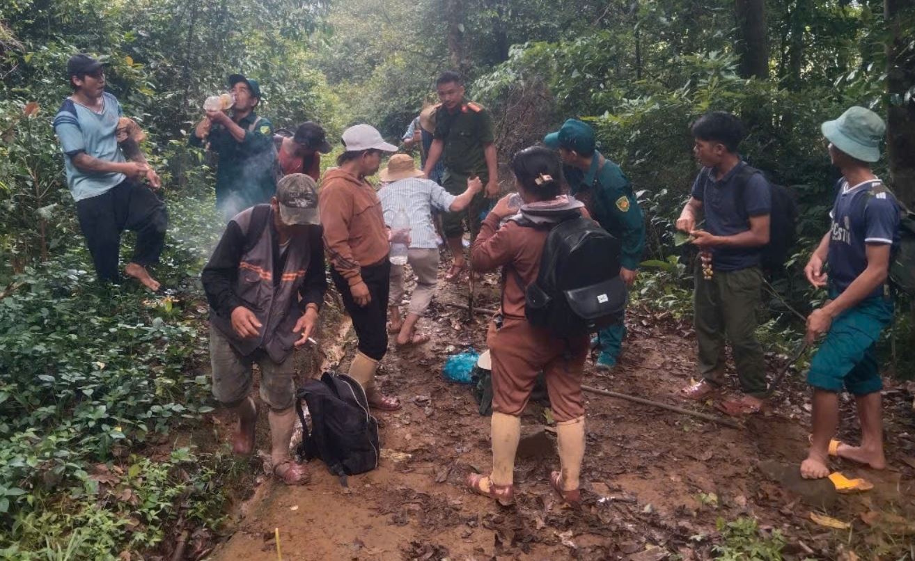 Di rung tim mat ong, ta hoa phat hien hai cot nguoi trong lan trai hinh anh