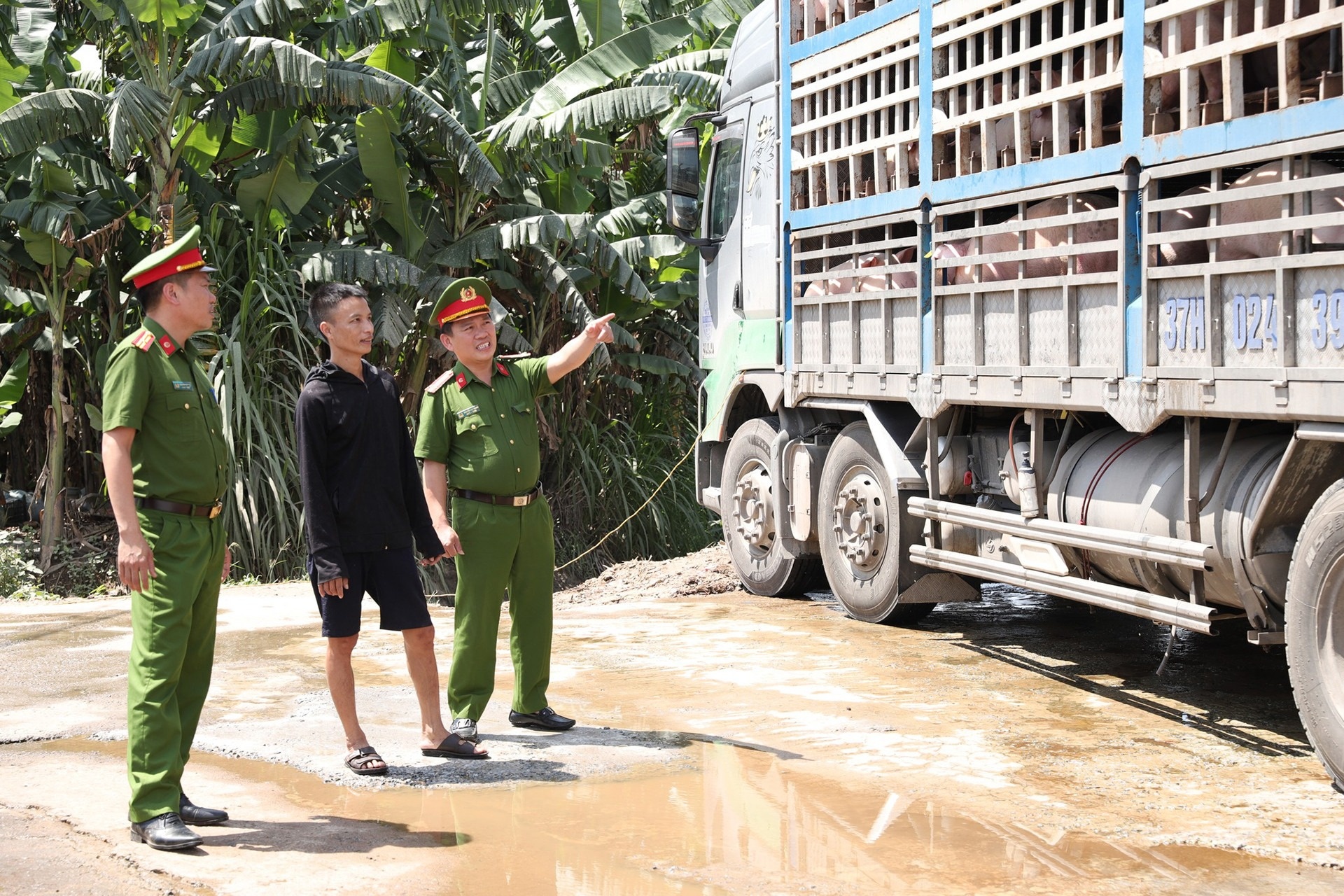 Thuc pham ban anh 1