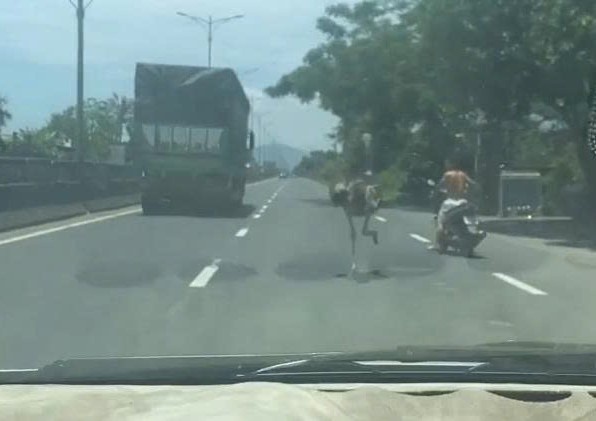 Da dieu chay tren quoc lo 1A hinh anh