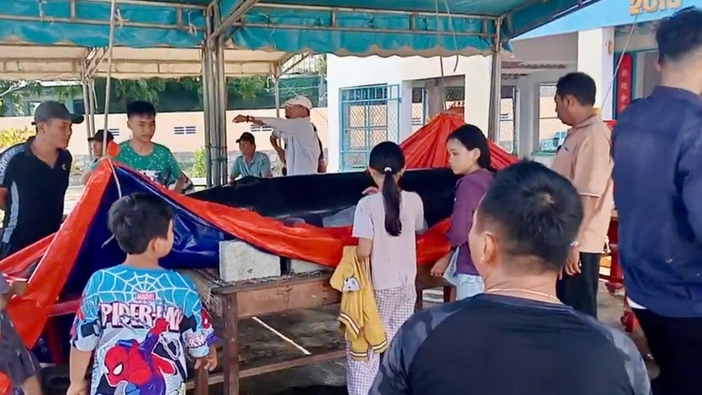 Ca voi Ninh Thuan anh 2