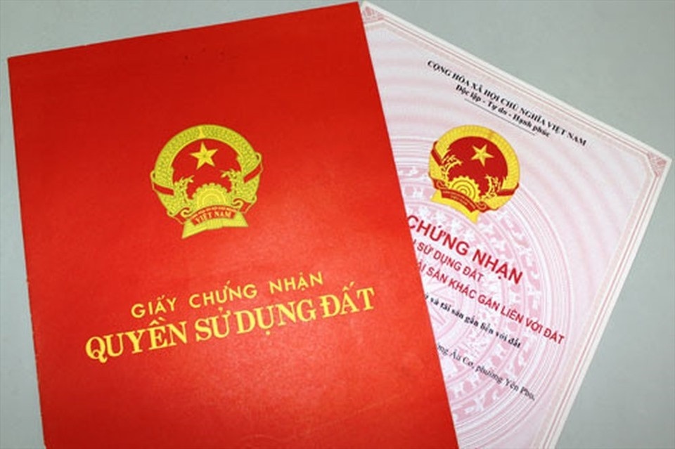 Con dau thua ke anh 1