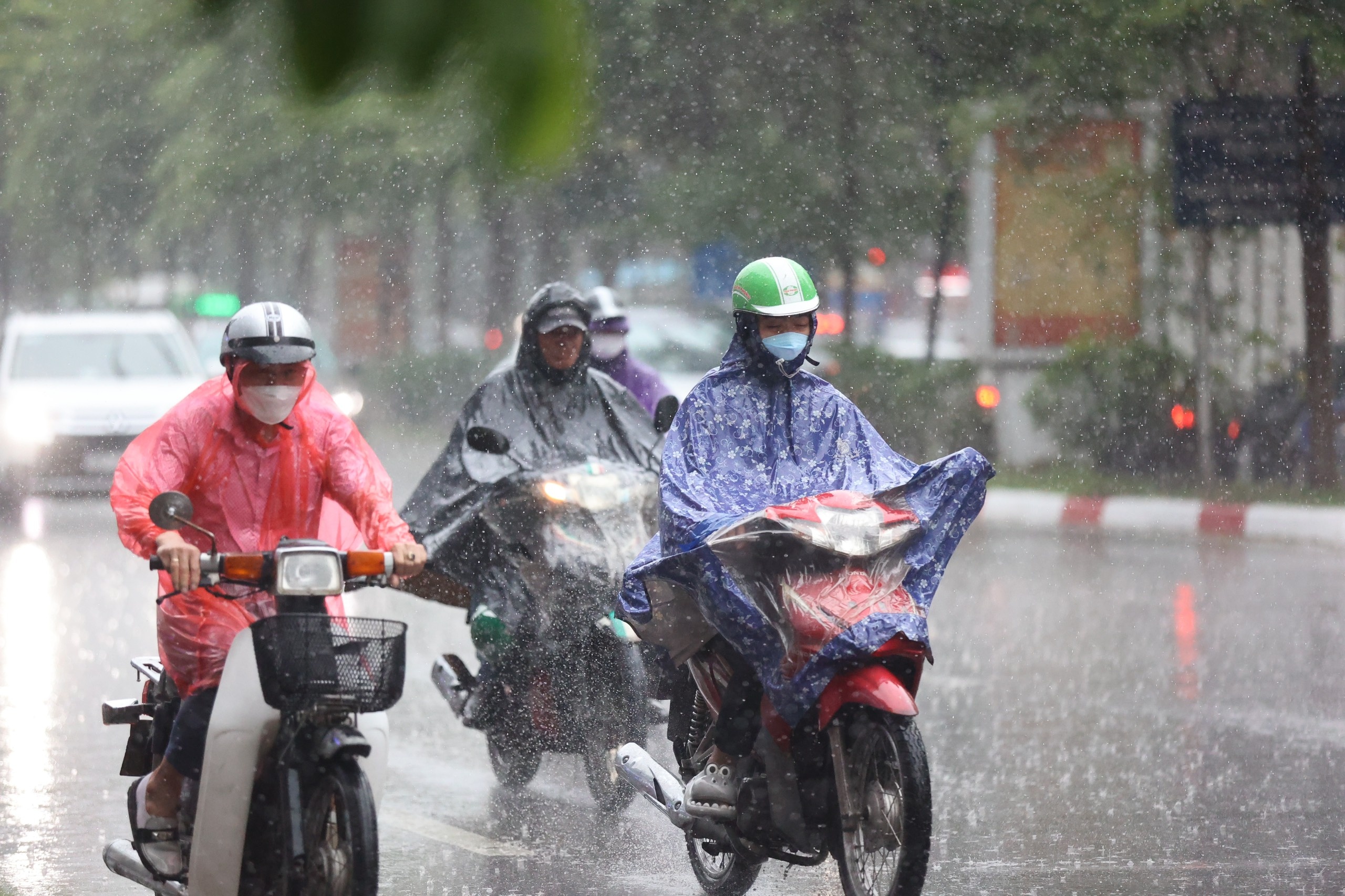 Mua Ha Noi mien Bac anh 1