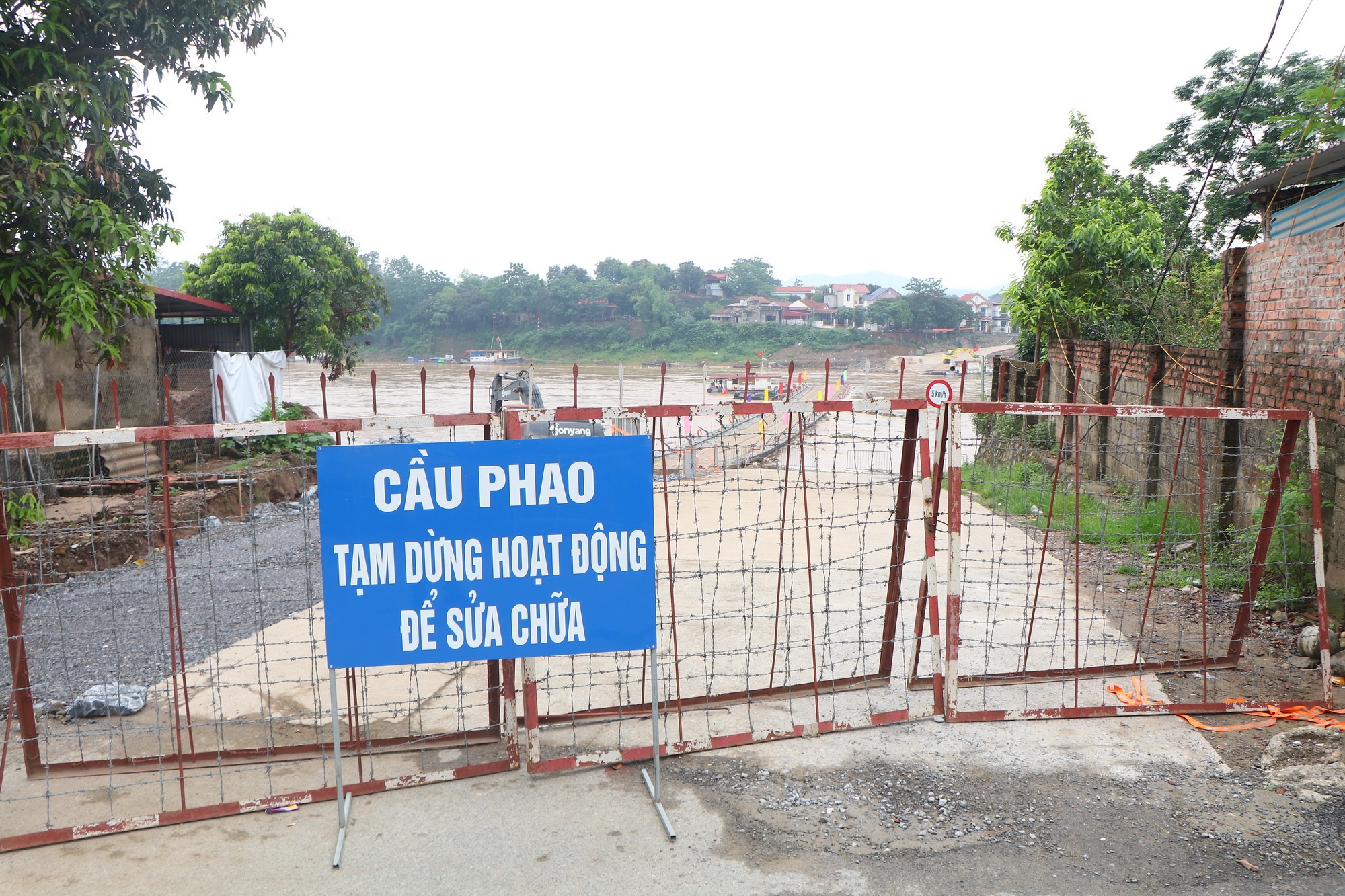 Dung cau Phong Chau anh 1