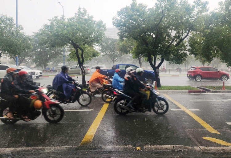 TP.HCM Sai Gon mua ngap anh 1