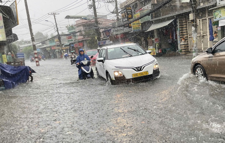 TP.HCM Sai Gon mua ngap anh 2