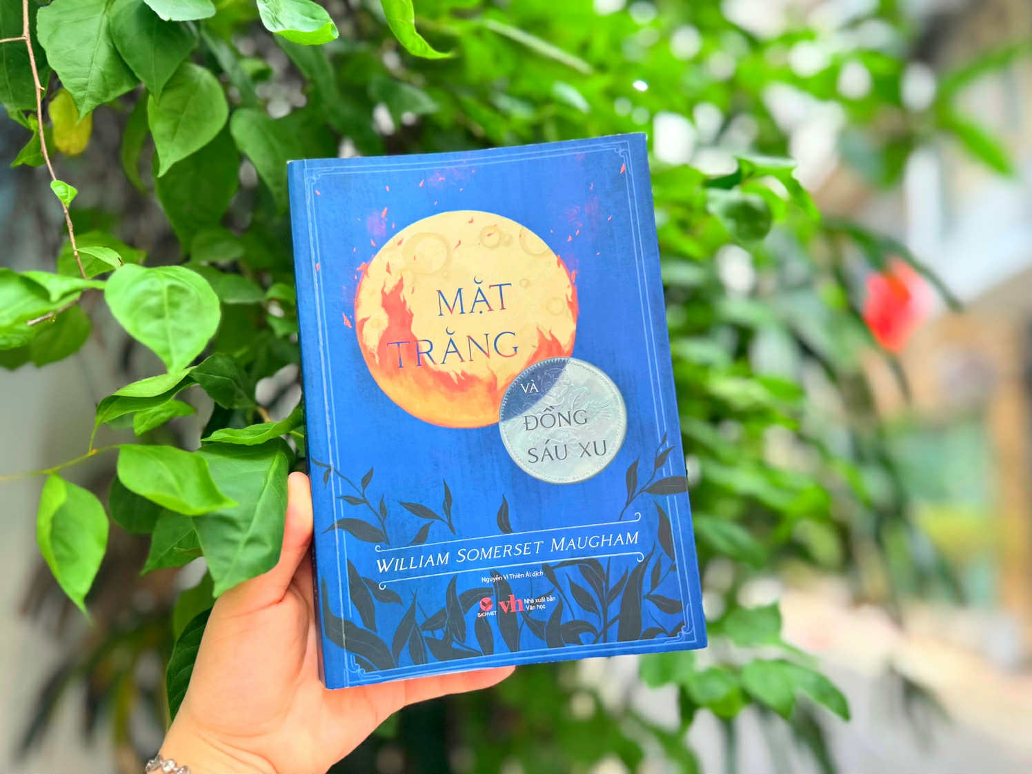 Mat trang anh 1