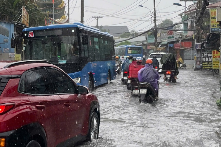 TP.HCM Sai Gon mua ngap anh 4